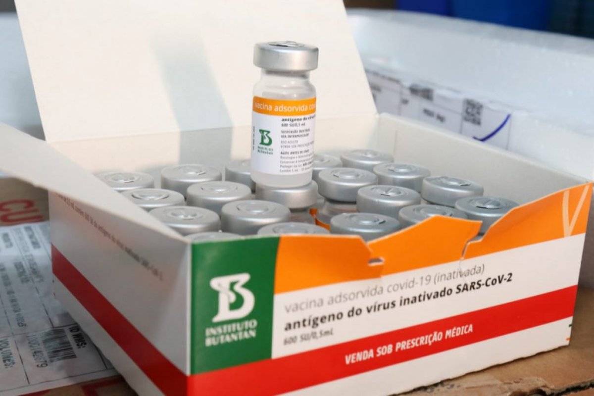 Coronavac: primeira oferta foi feita em julho e ficou sem resposta, diz Butantan