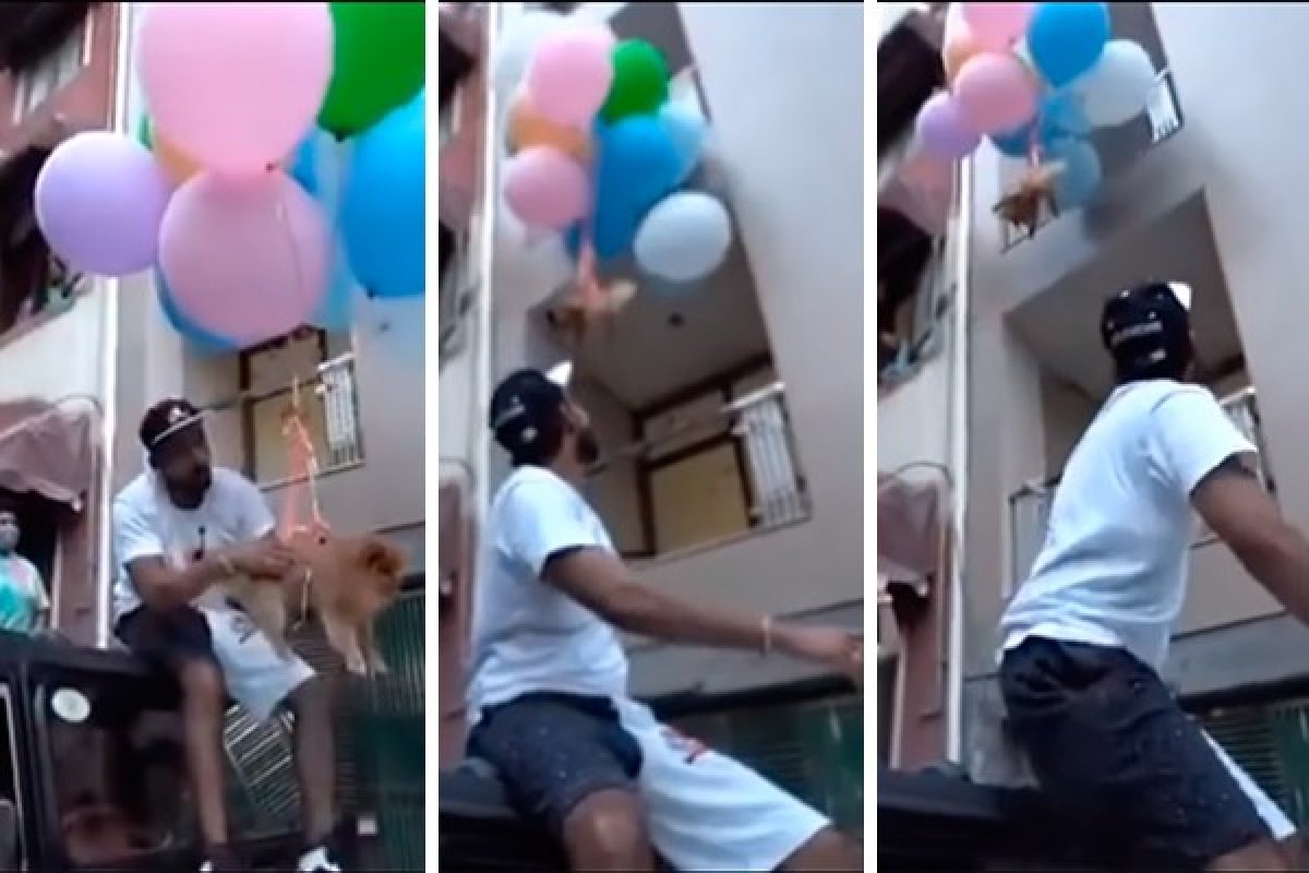 Youtuber indiano é preso após amarrar cachorro a balões e soltá-lo para "voar"