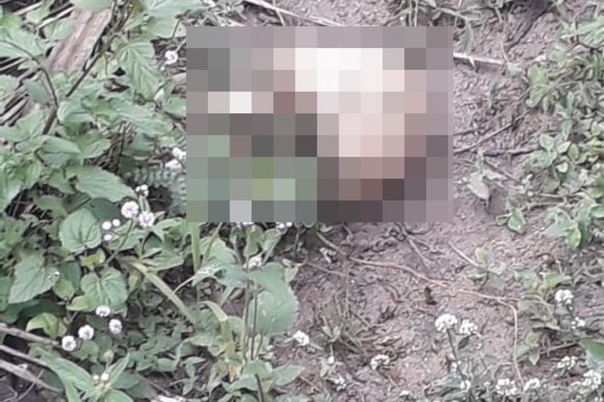 Corpo decapitado é encontrado em terreno baldio, em Feira de Santana