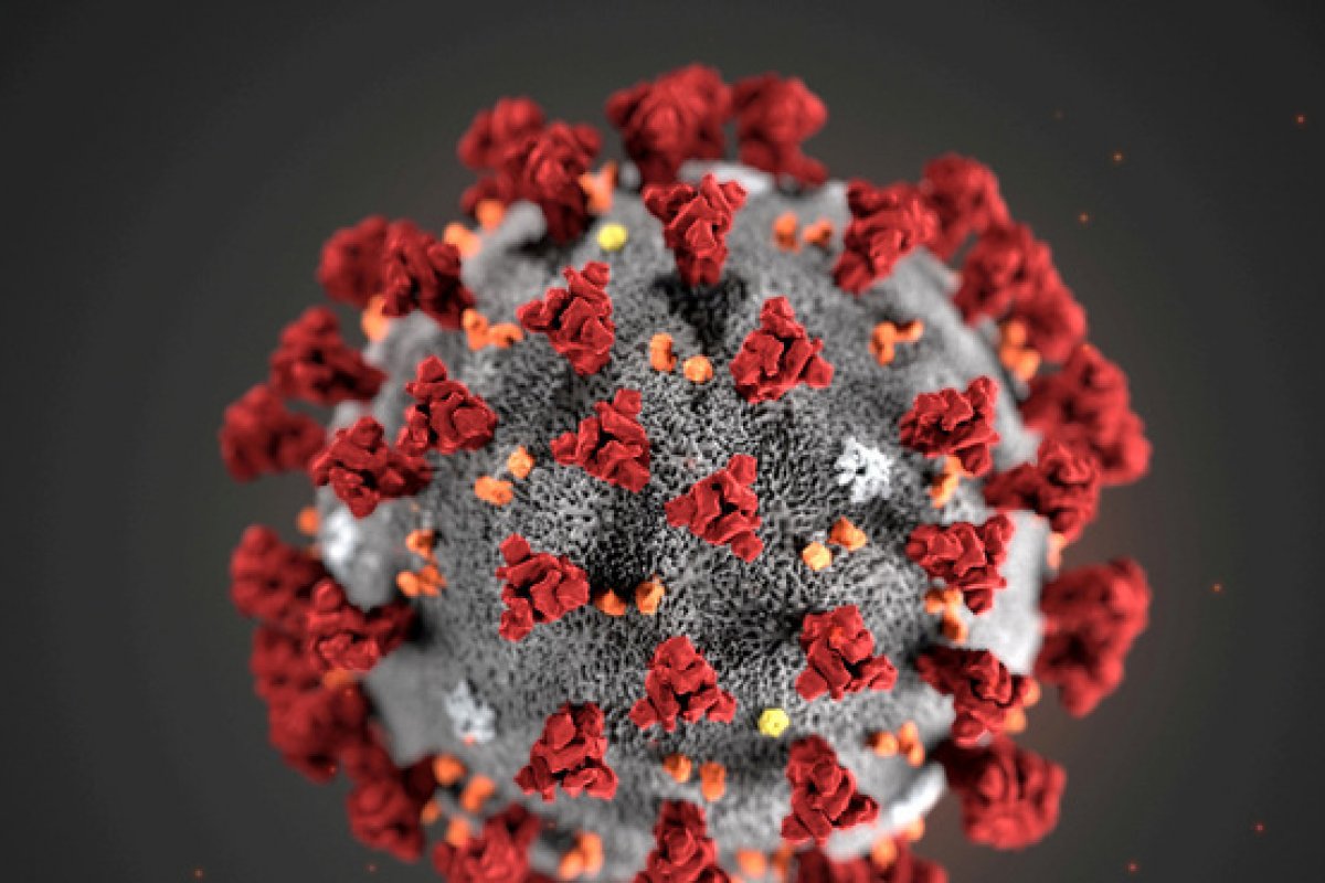 Primeiro caso da variante indiana é confirmado em Minas Gerais