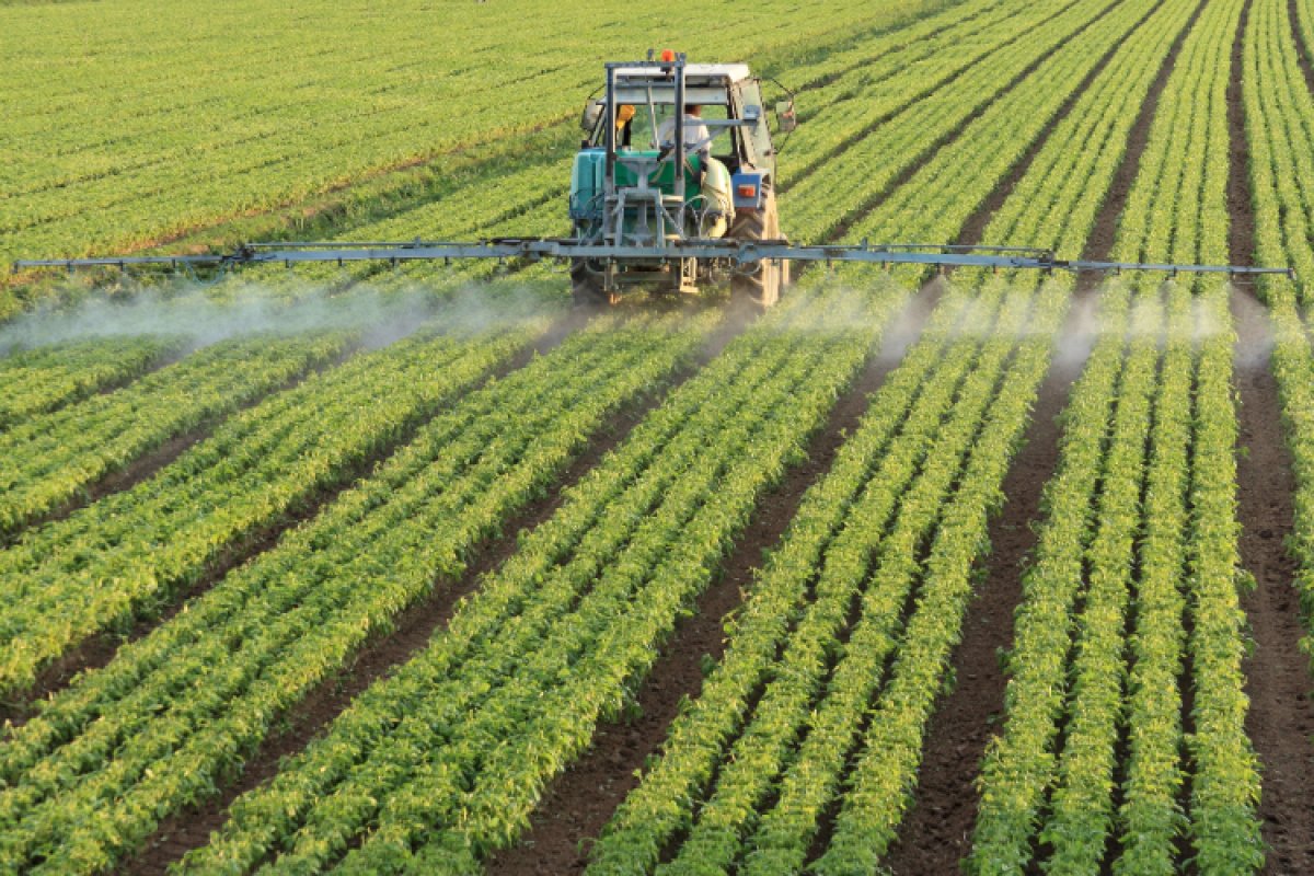 Nos dois primeiros meses da safra, contratações do crédito rural somam R$ 39 bilhões