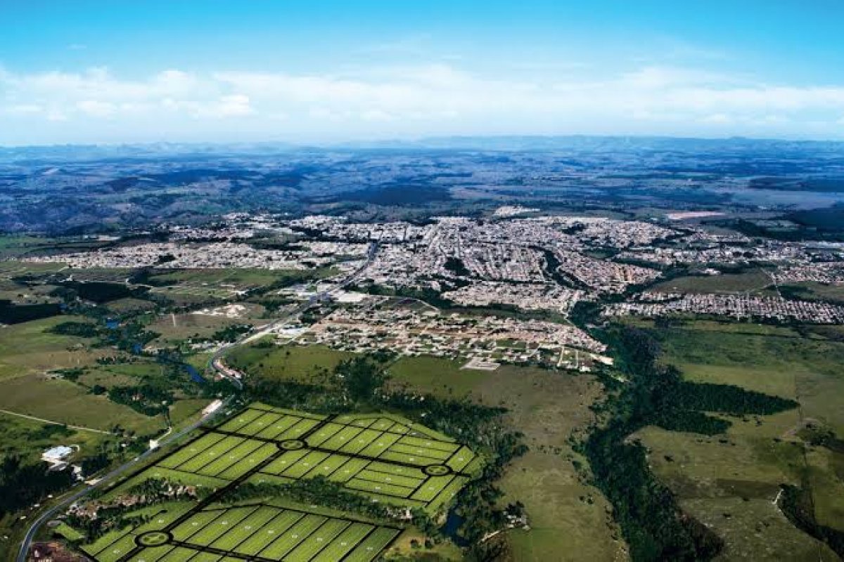 Idosa é presa acusada de maus tratos contra o próprio cachorro