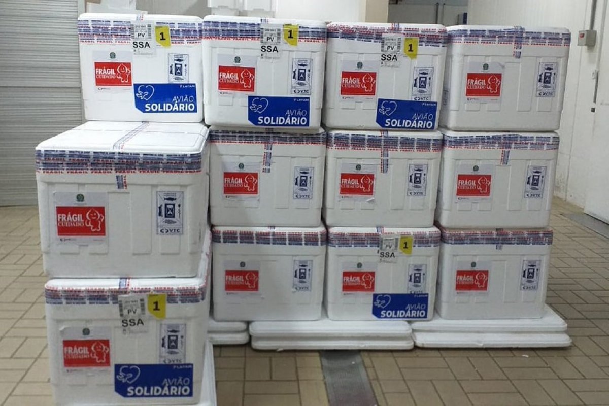 Novo lote com 366 mil doses da vacina contra a Covid-19 chega à Bahia