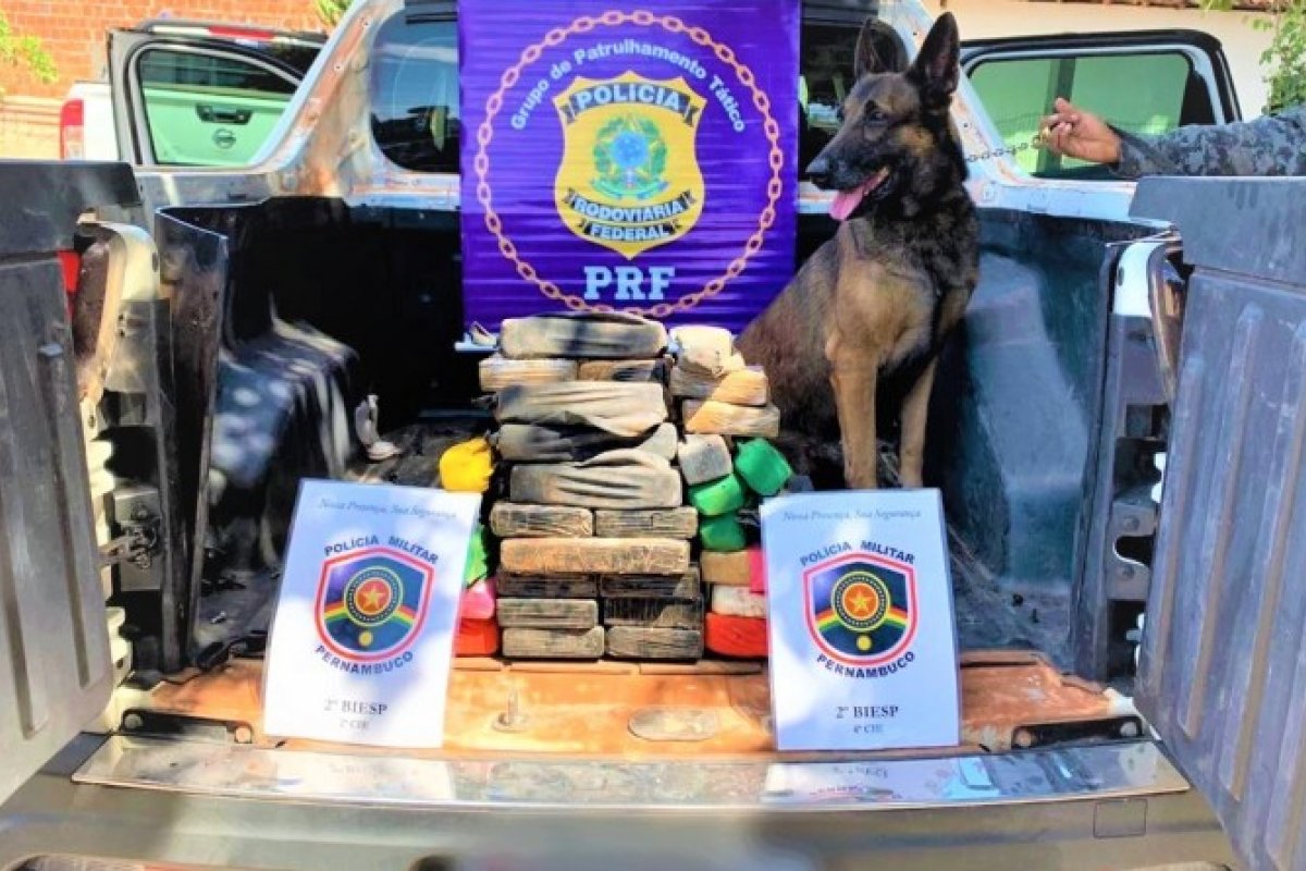 30 quilos de cocaína são apreendidas em um veículo no norte da Bahia