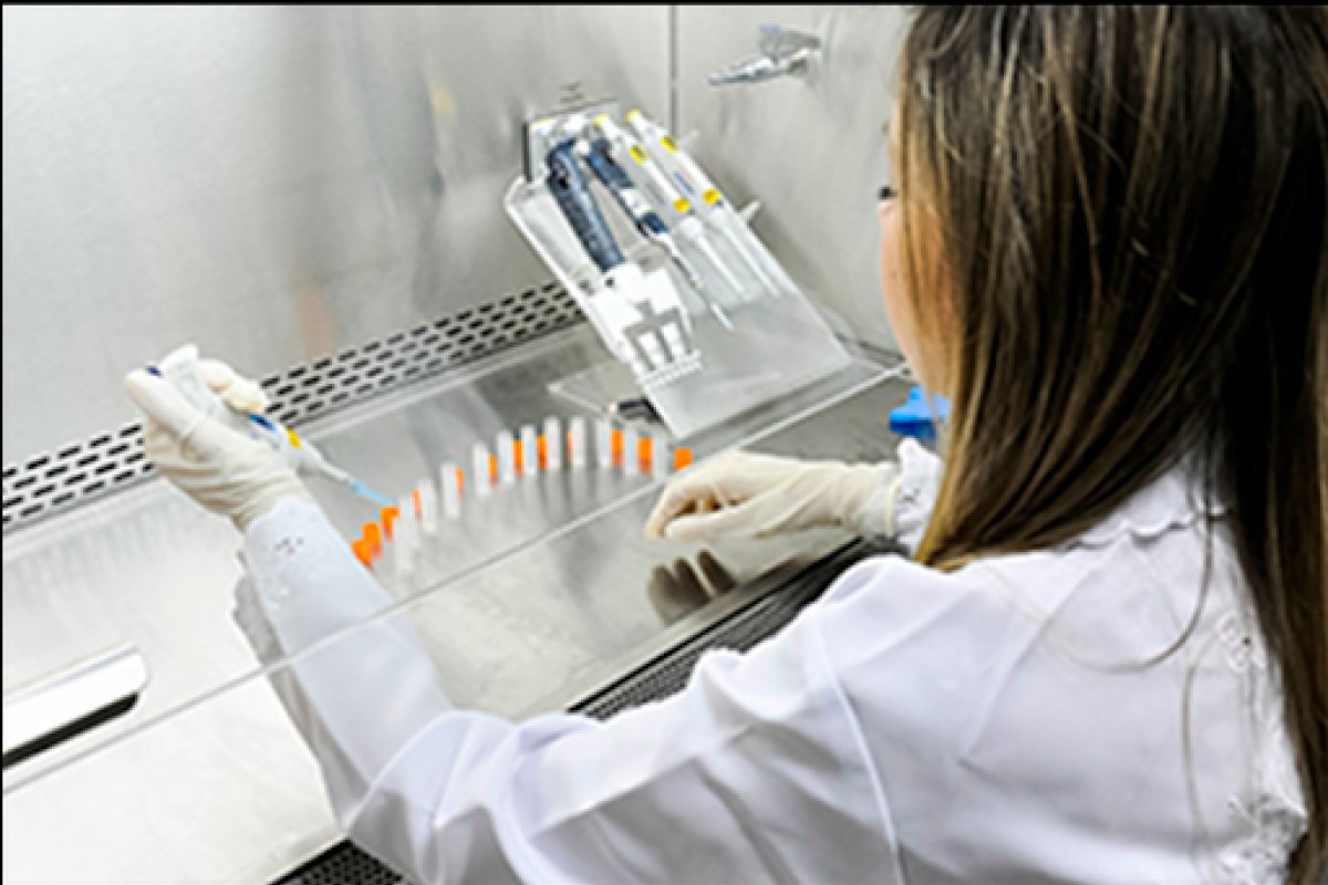 Especialista americana diz que a próxima pandemia pode já estar em curso