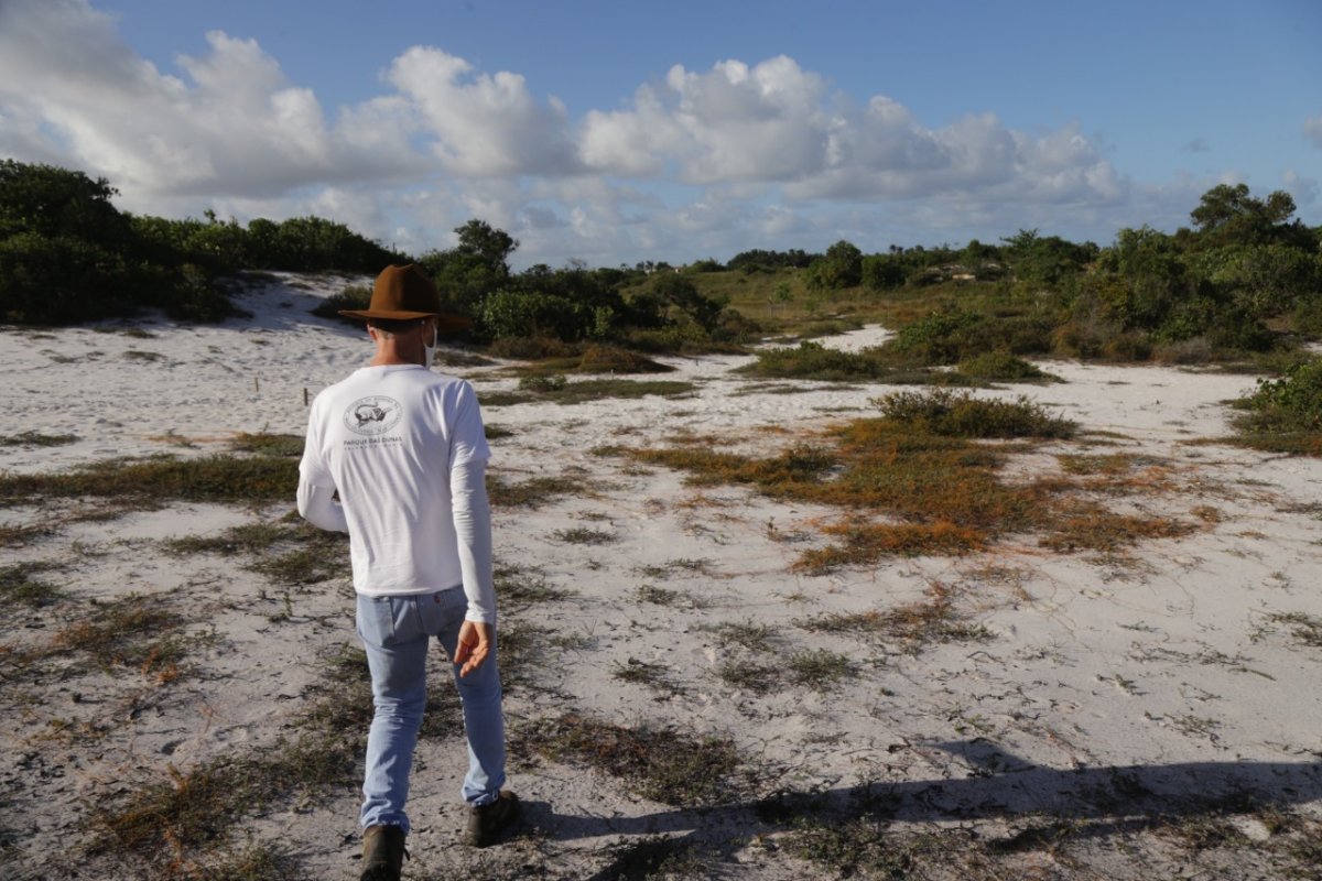 'Uma duna não é só um monte de areia. É vida.', diz gestor do Parque das Dunas de Salvador