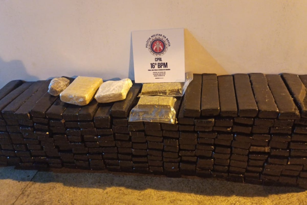 Polícia apreende 305 kg de maconha em povoado da Bahia