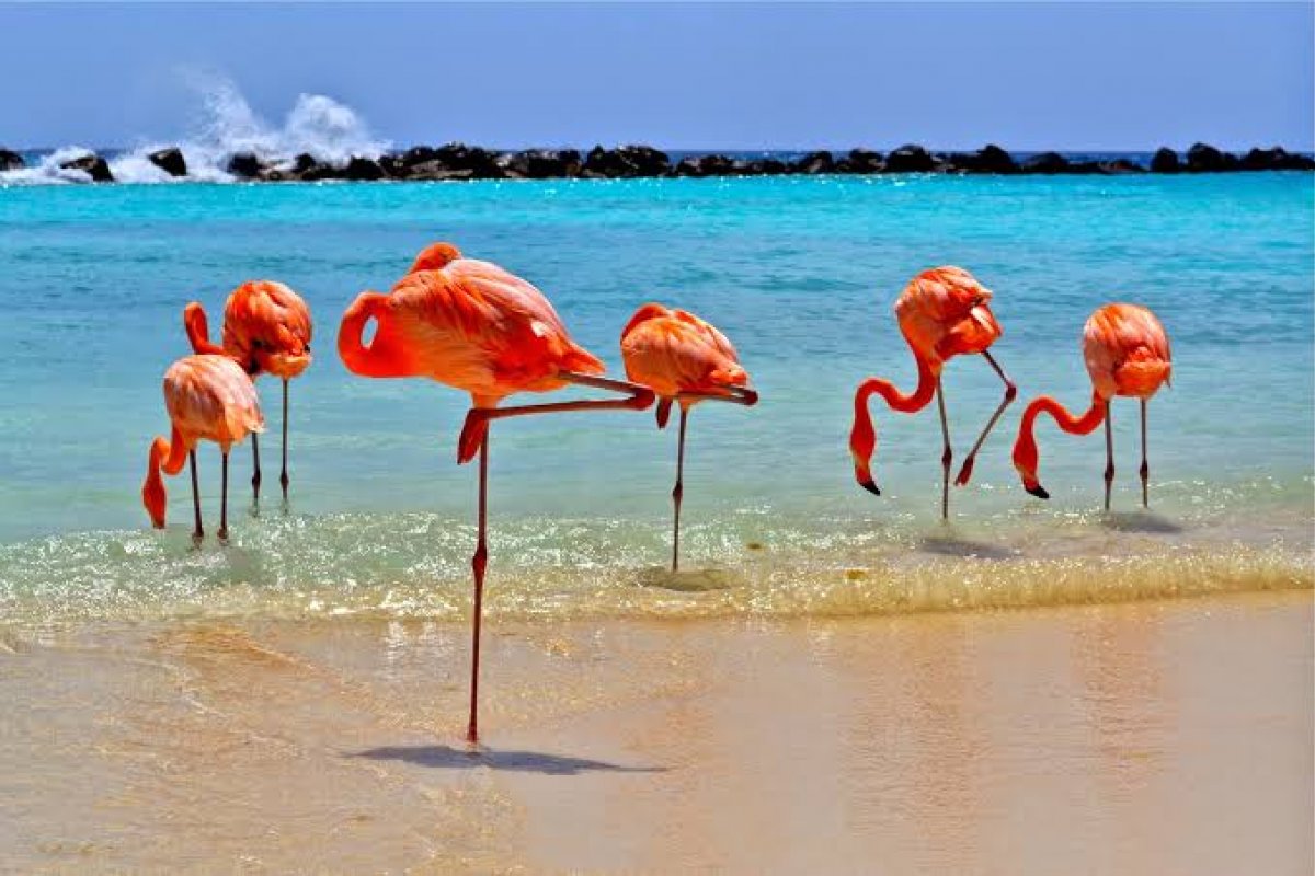 A partir de amanhã, Aruba reabre fronteiras para brasileiros