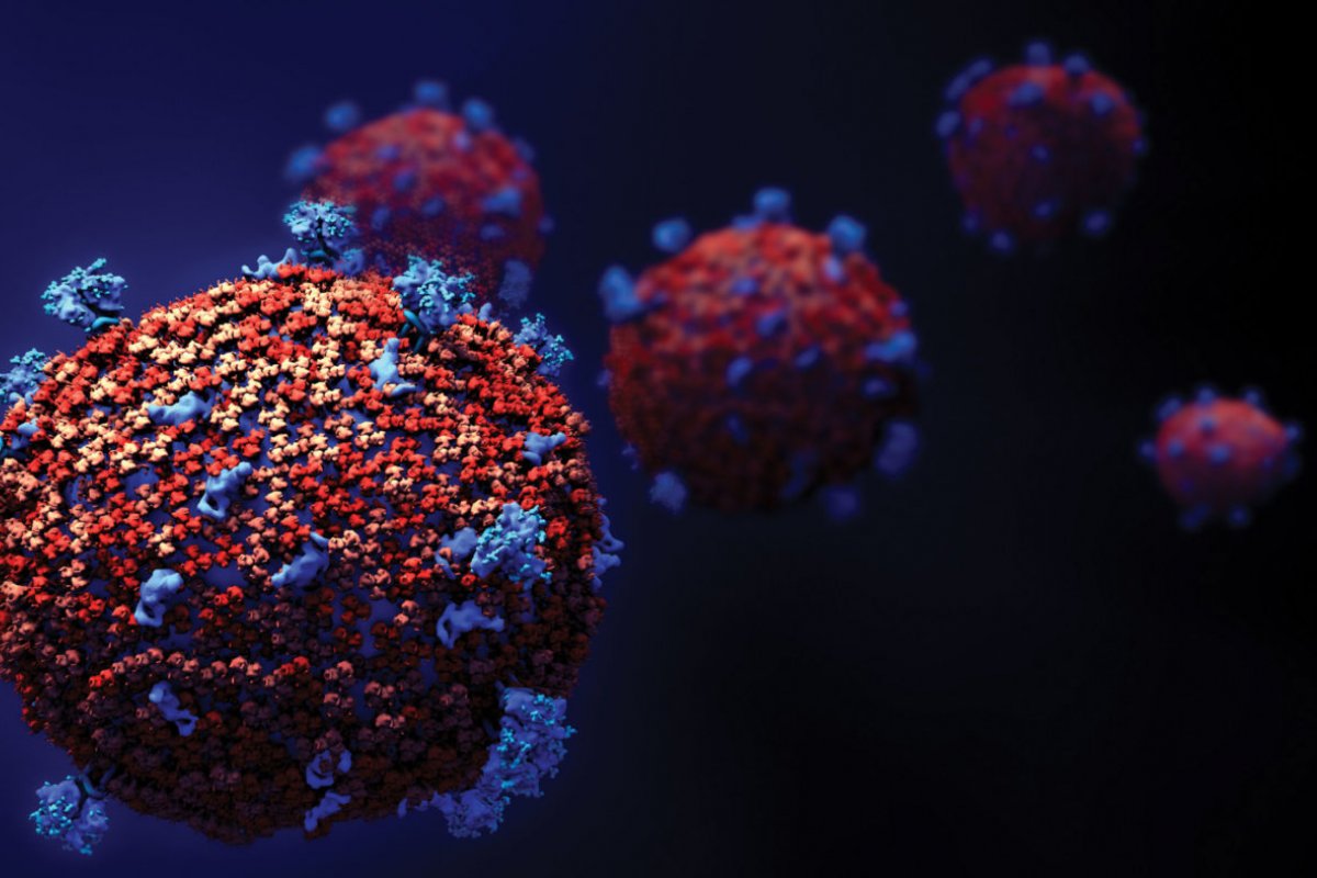 Brasil confirma mais mil mortes pela covid-19 em 24h