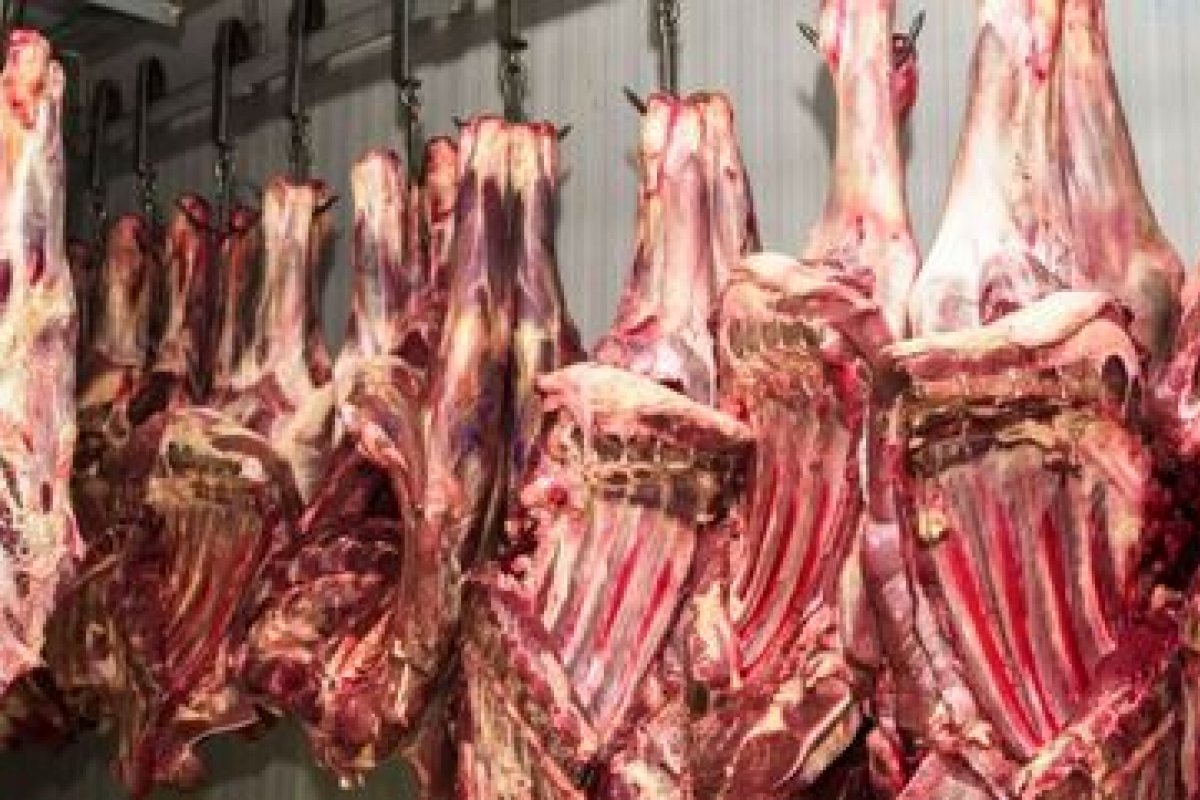 Exportação de carne bovina do Brasil tem queda em maio devido a menor demanda da China