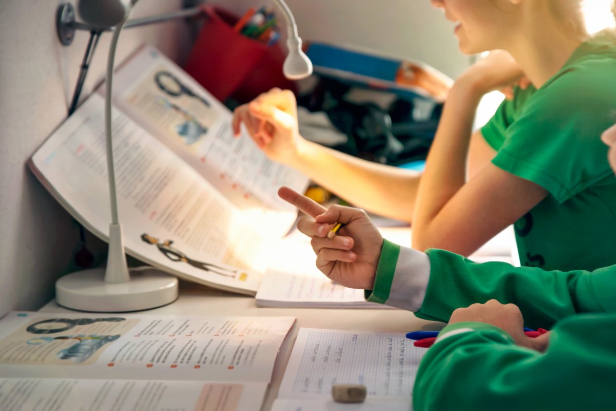 CCJ da Câmara deve analisar hoje PL que trata sobre educação domiciliar