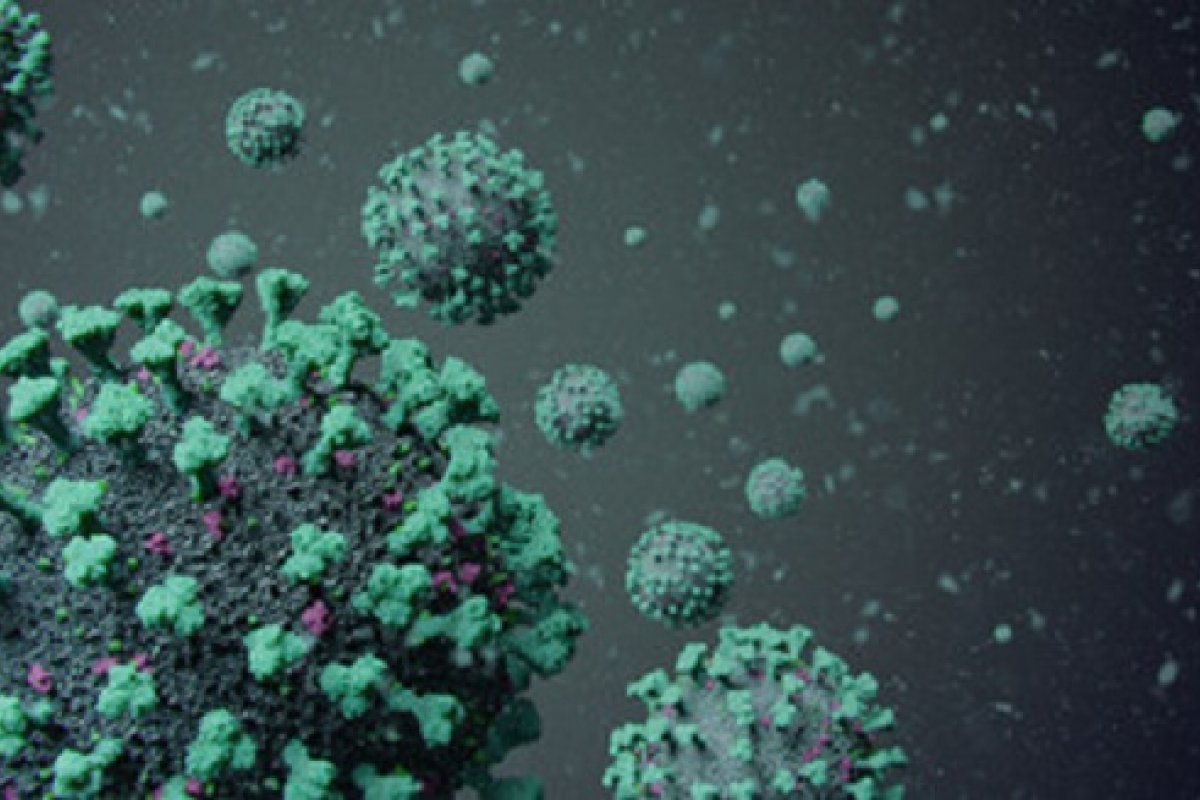 Brasil registra 85 mil novos casos e 2,2 mil mortes por Covid em 24h