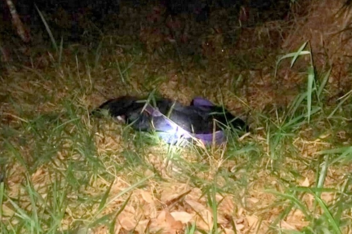 Homem é encontrado morto às margens da BR-367, no sul da Bahia