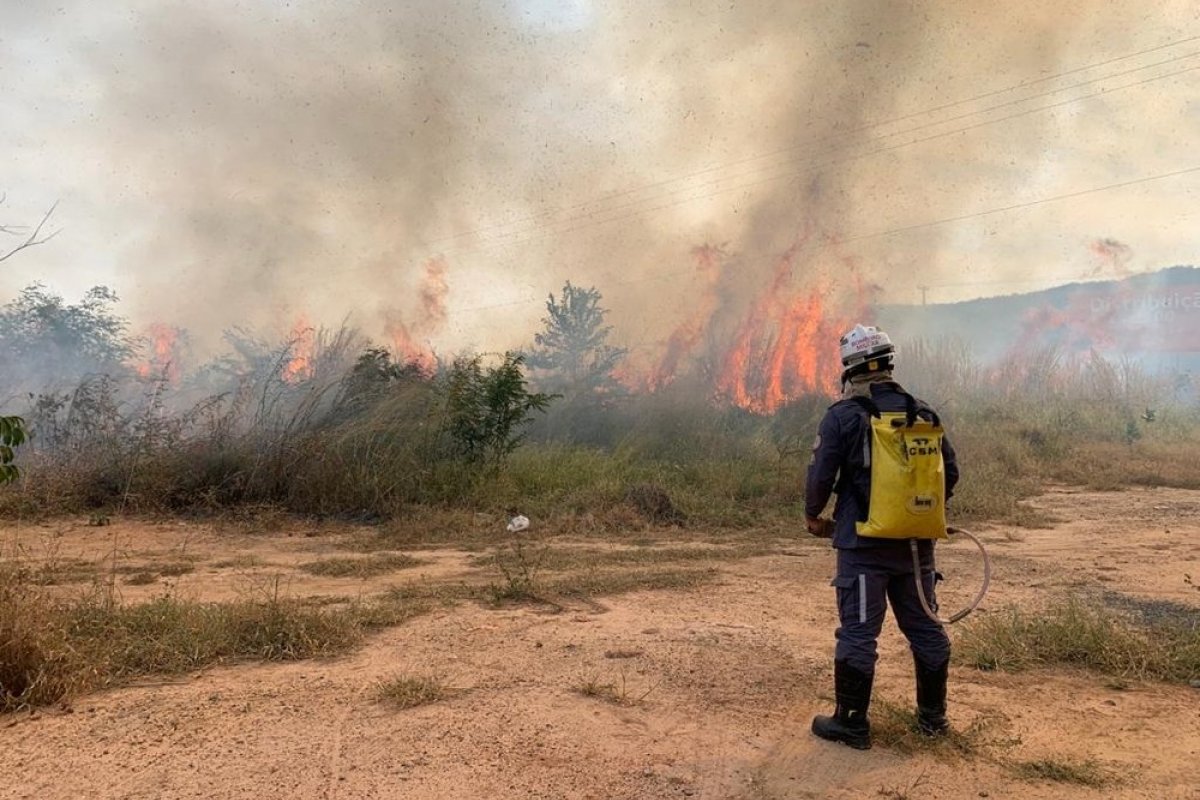 Incêndio atinge vegetação às margens da BR-135, em Barreiras