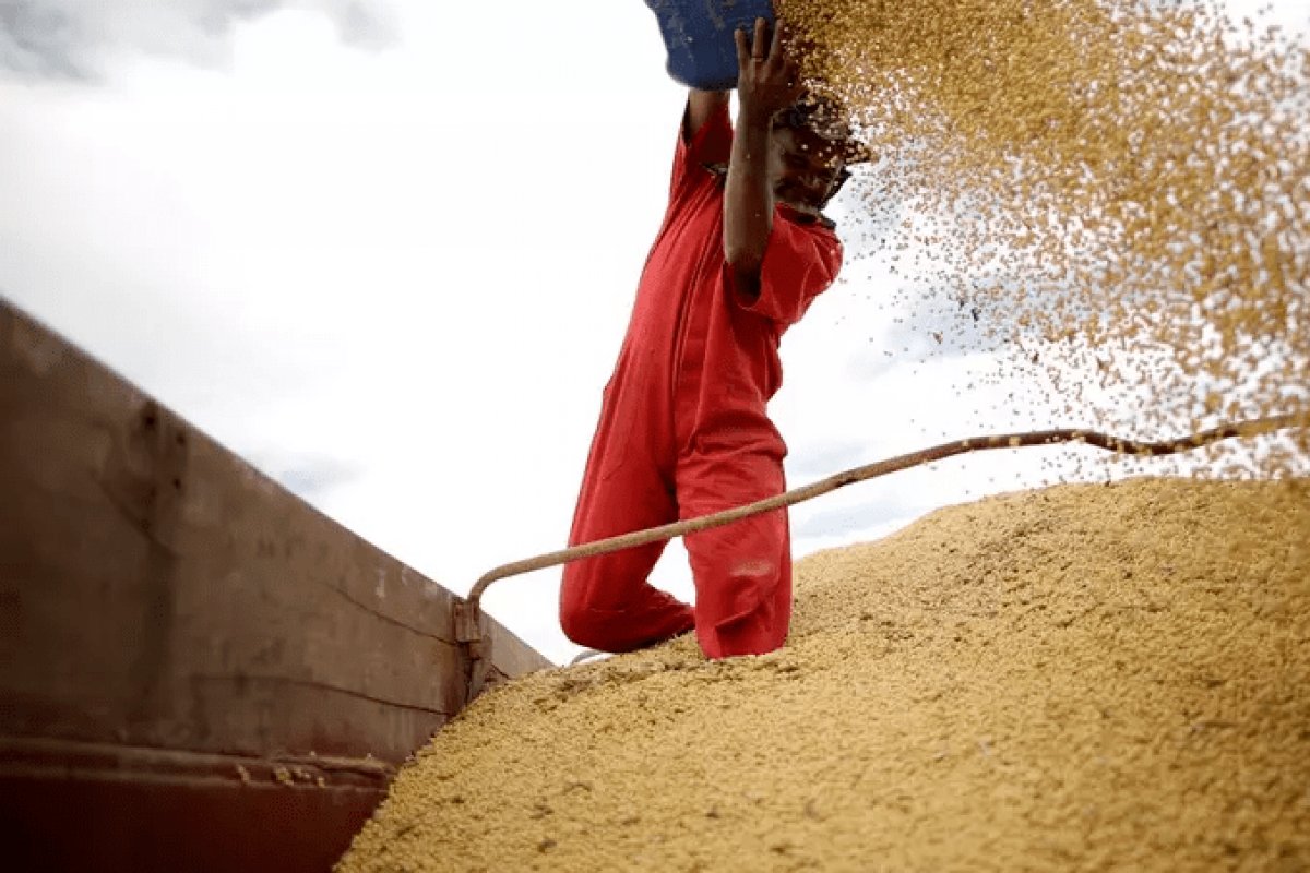 Governo discute investimento de mais de R$ 12 bi do Tesouro Nacional em Plano Safra