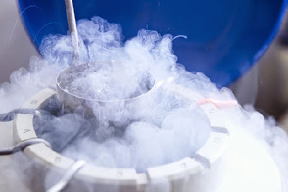 STJ impede viúva de SP de implantar embriões congelados do marido falecido