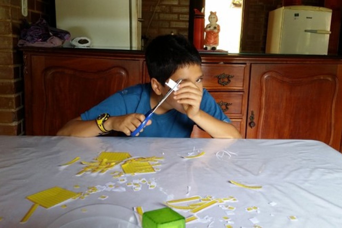 Arthur Lira recebe relatório de entidades contrárias ao homeschooling