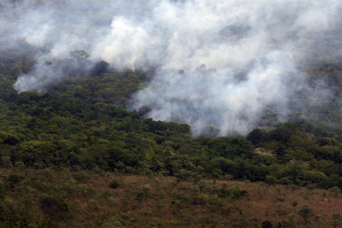 Estado do Mato Grosso decreta estado de emergência por causa das queimadas