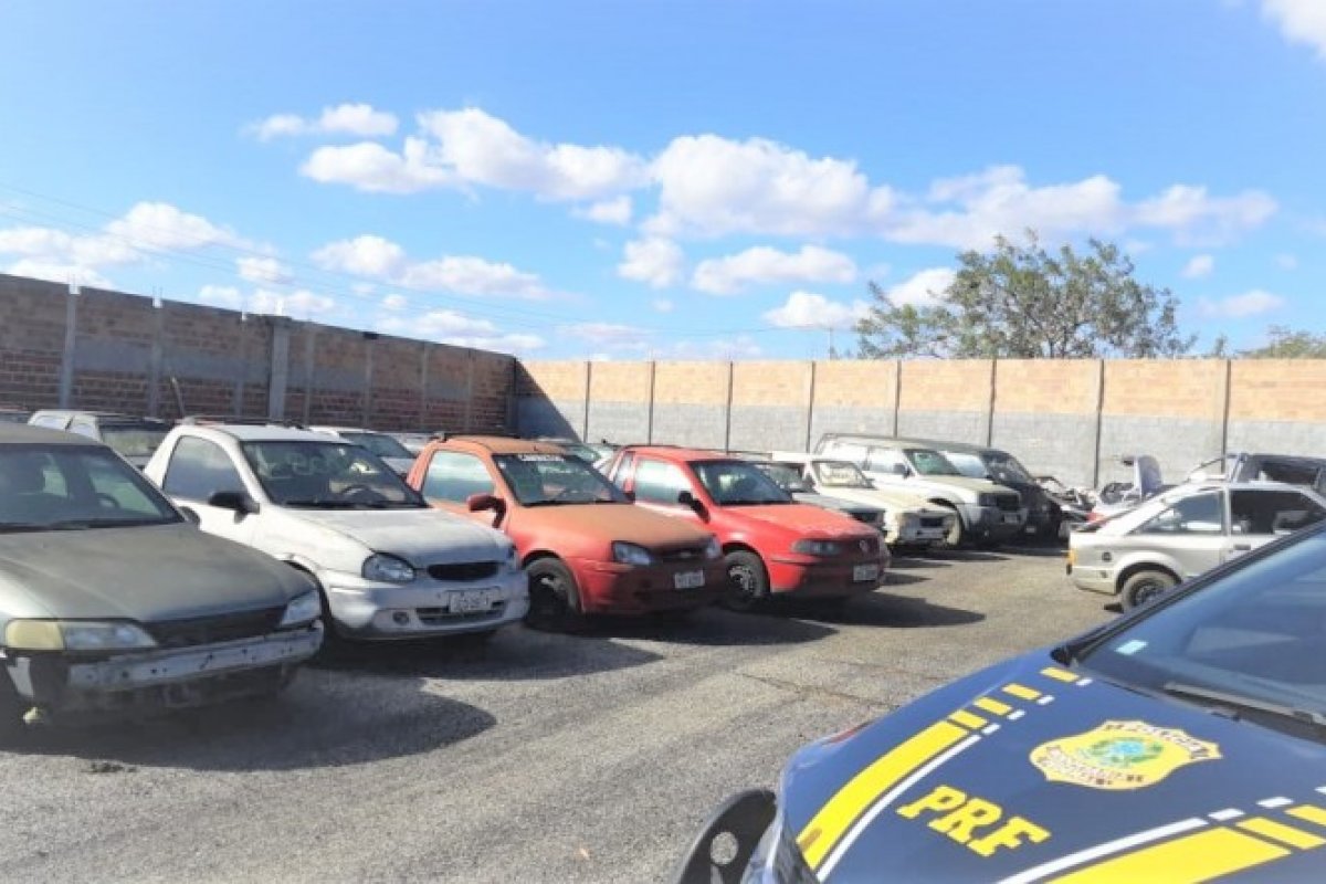 PRF realiza leilão de aproximadamente 500 veículos apreendidos