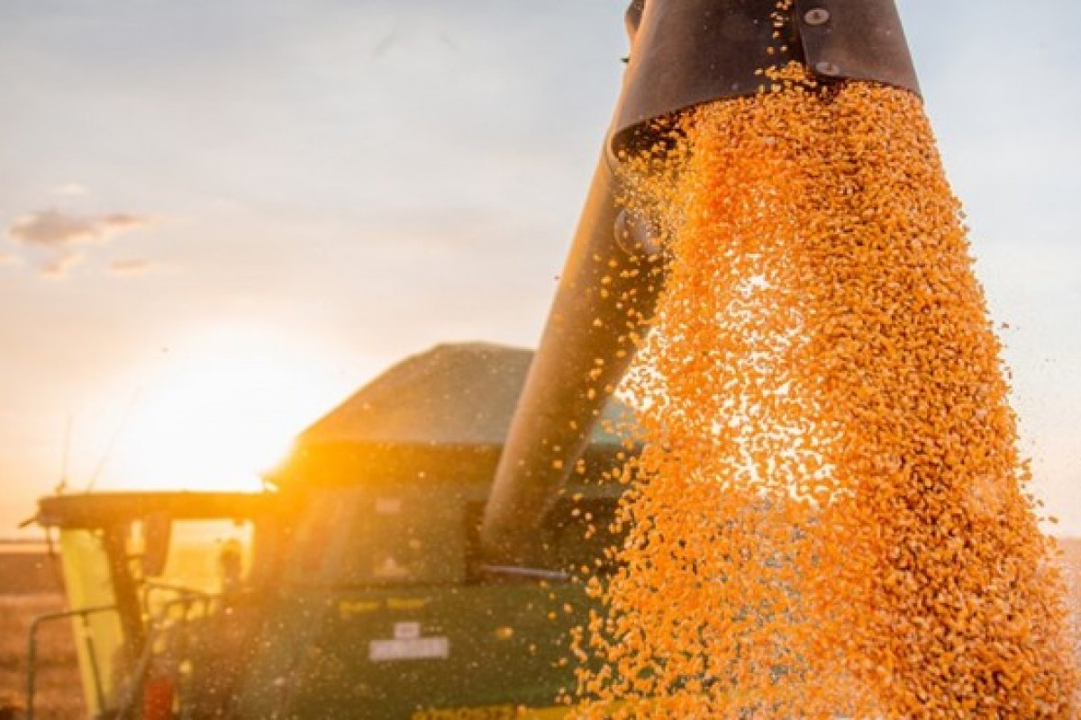 PIB do agronegócio baiano cresce 4% no primeiro trimestre de 2021