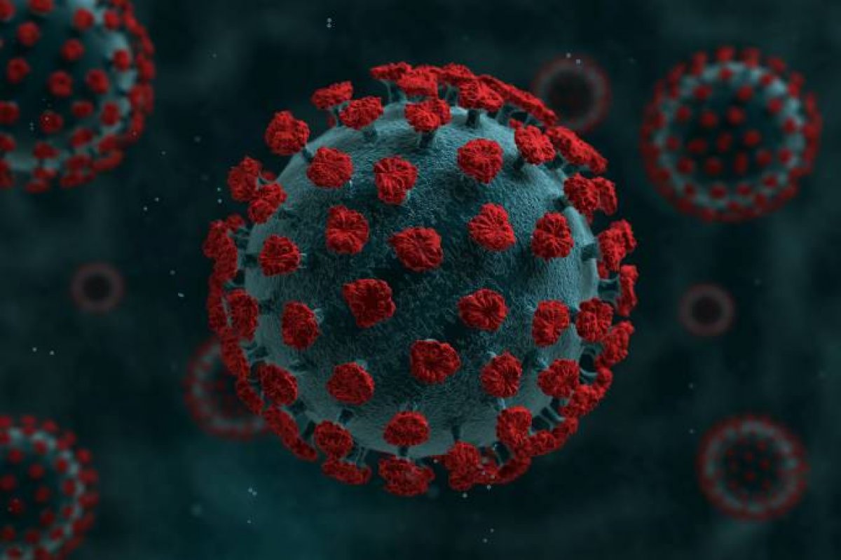 Brasil confirma mais 2,3 mil mortes e totaliza 496 casos fatais de Covid-19