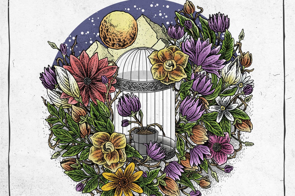 Superbrava revela as possibilidades por trás do cotidiano em "Natural"