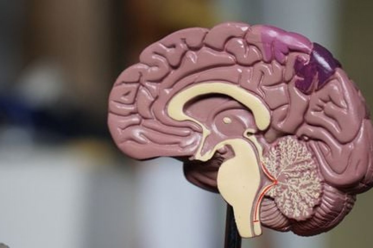 Cientistas brasileiros descrevem pela primeira vez como o coronavírus danifica as células do cérebro