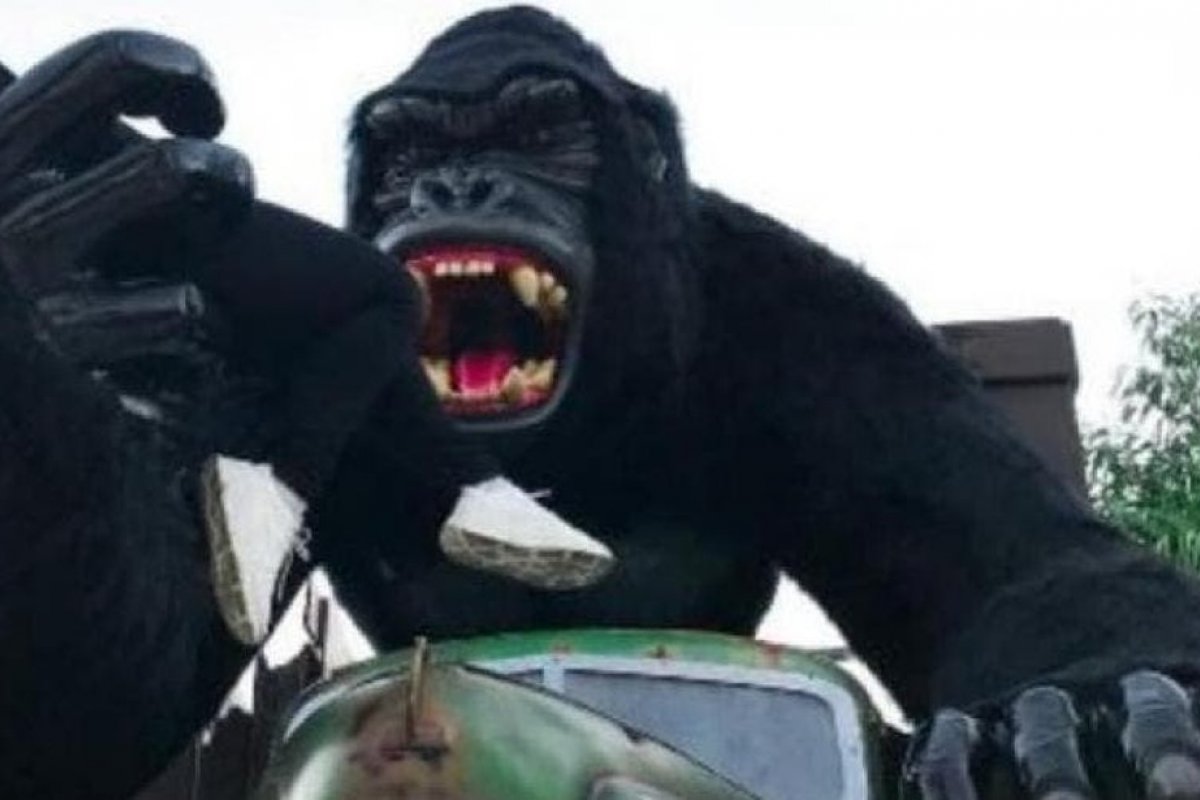 Criança de 6 anos sofre traumatismo craniano depois de cair de atração no Beto Carrero World