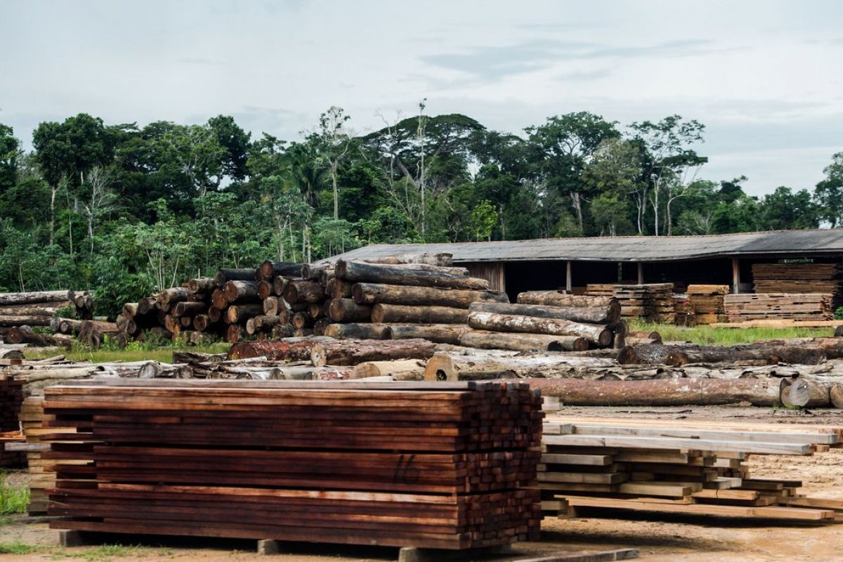 Ministério da Agricultura diz que máquina criada para realizar classificação de madeira pode beneficiar consumidor