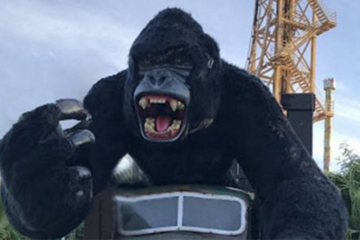 Criança que caiu de brinquedo no Beto Carrero apresenta melhora, diz boletim médico