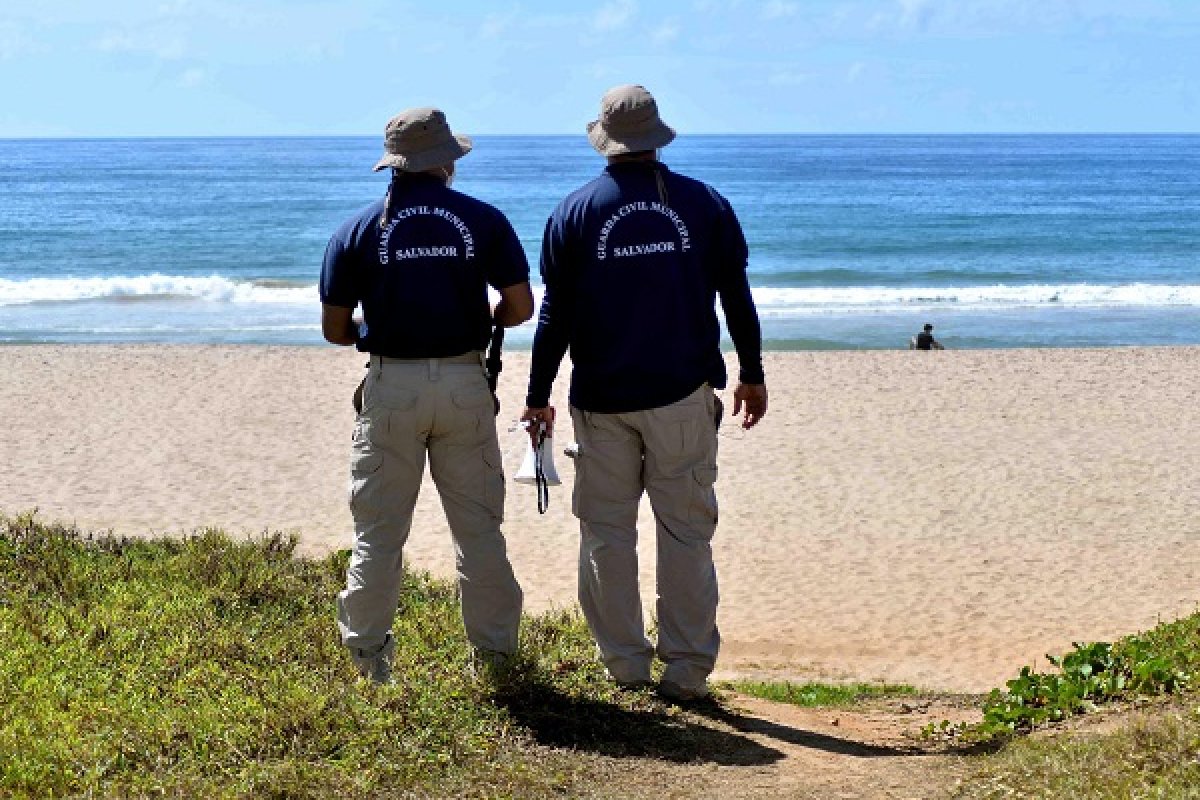 Guarda Civil Municipal mobiliza 80 agentes e intensifica atuação no São João
