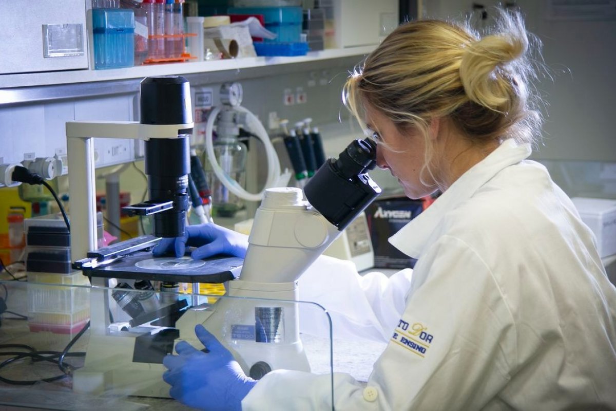 Incentivo à pesquisa