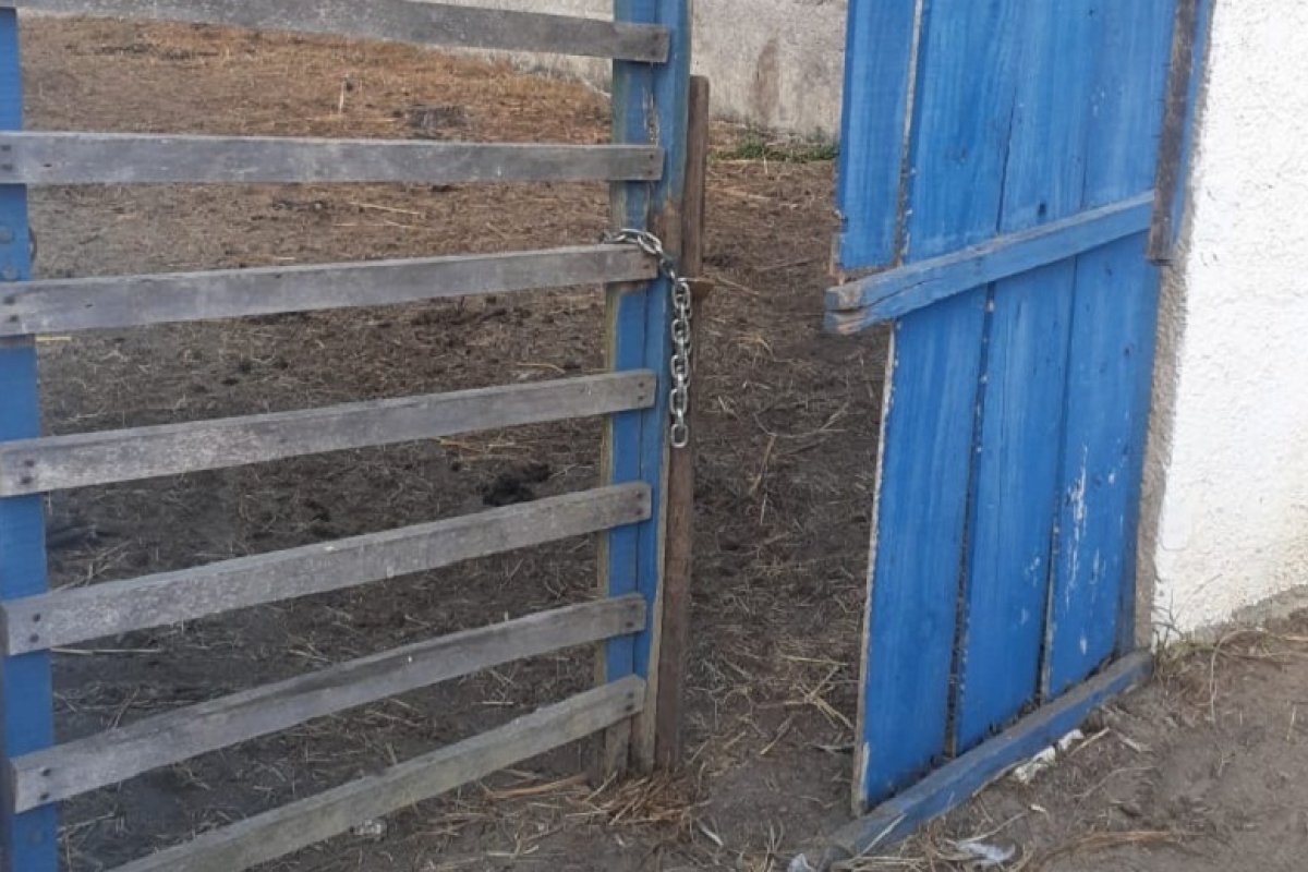 Teixeira de Freitas: curral da Secretaria é arrombado e animais resgatados são furtados