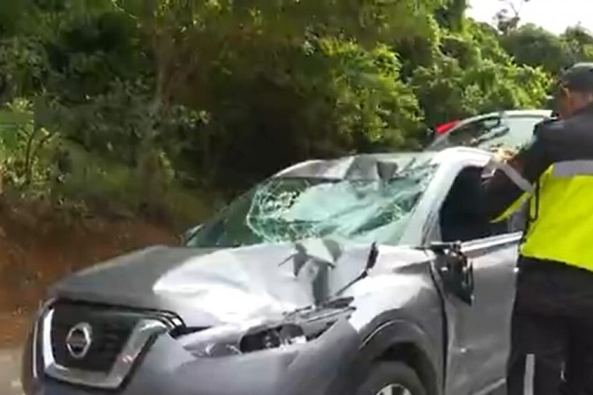 Motorista atropela cavalo na Avenida Luís Eduardo Magalhães, em Salvador