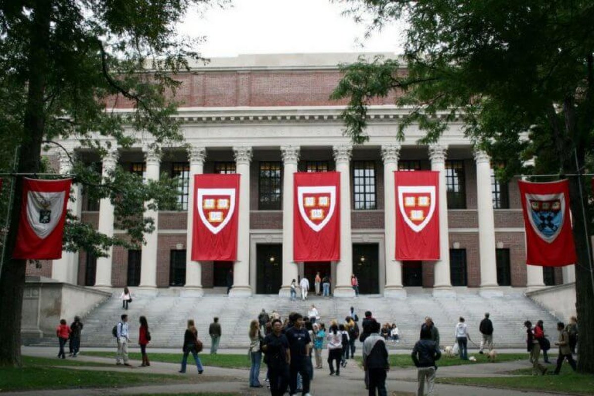 Site oferece cursos com professores da Universidade de Harvard e do MIT de graça