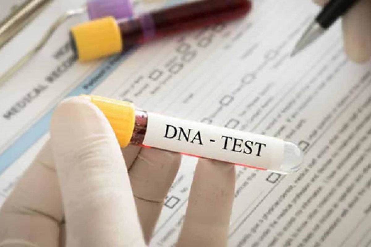 Nova lei autoriza teste de DNA em parentes próximos para confirmar paternidade