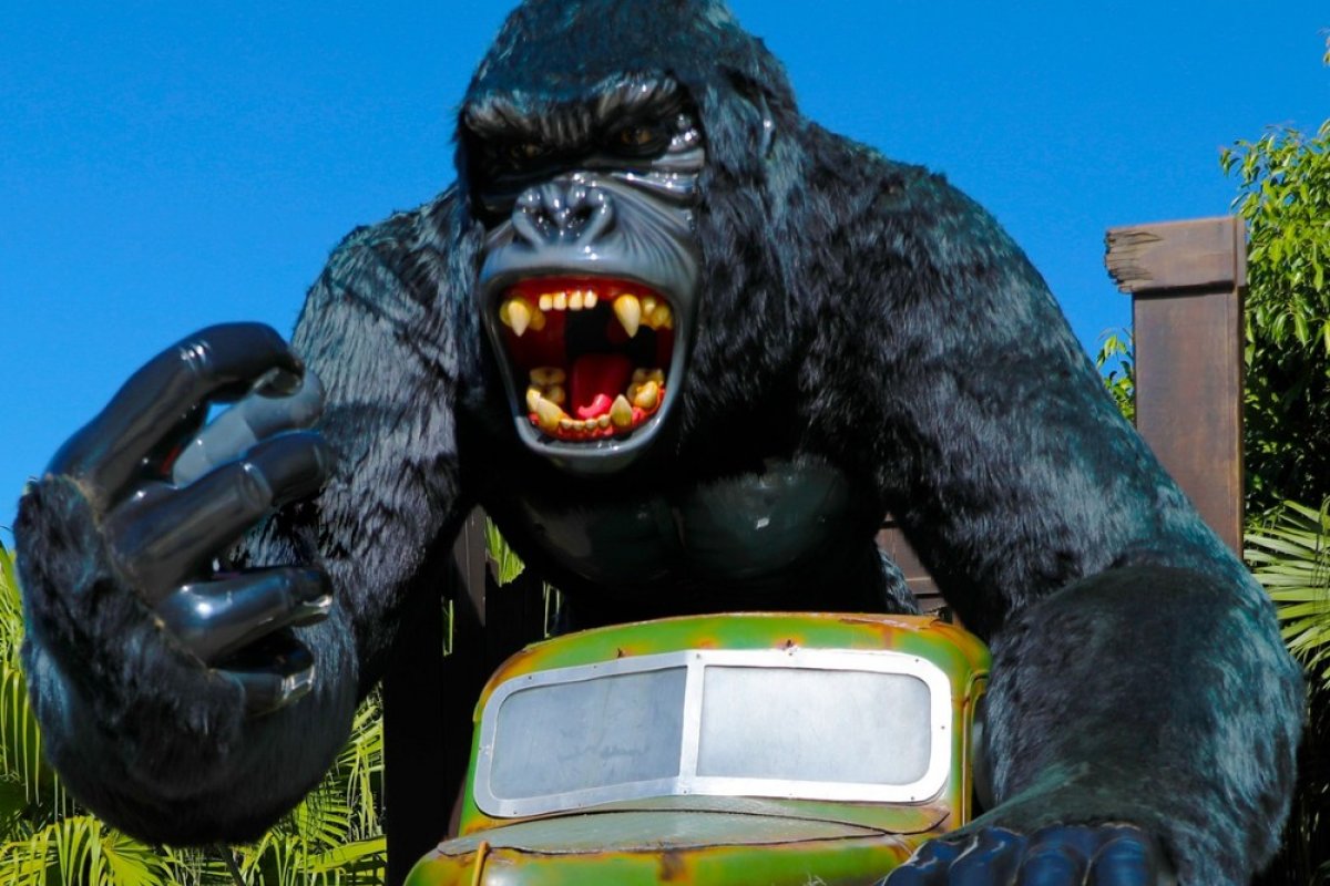 Menino que caiu de brinquedo no Beto Carrero recebe alta da UTI