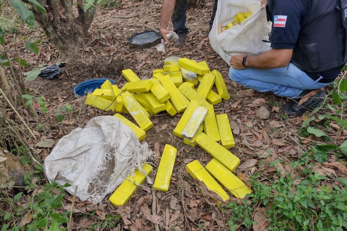 Drogas e carregador de fuzil são achados enterrados em Itabuna, no sul da Bahia