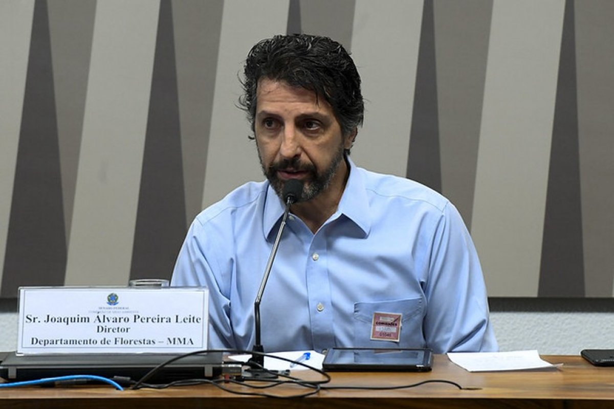 Número 2 de Ricardo Salles é demitido pelo novo ministro do Meio Ambiente
