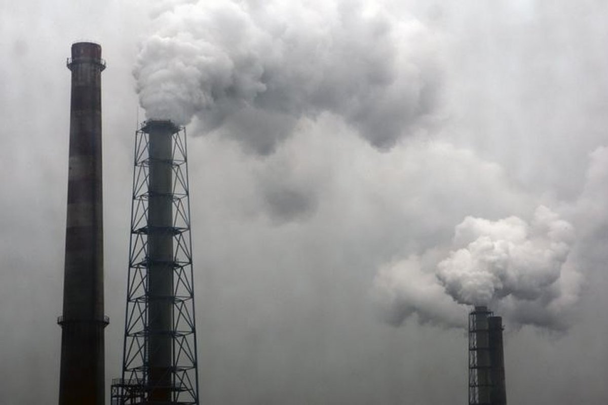 Projeto pretende retirar 1 bi de toneladas de CO2 do ar até 2025