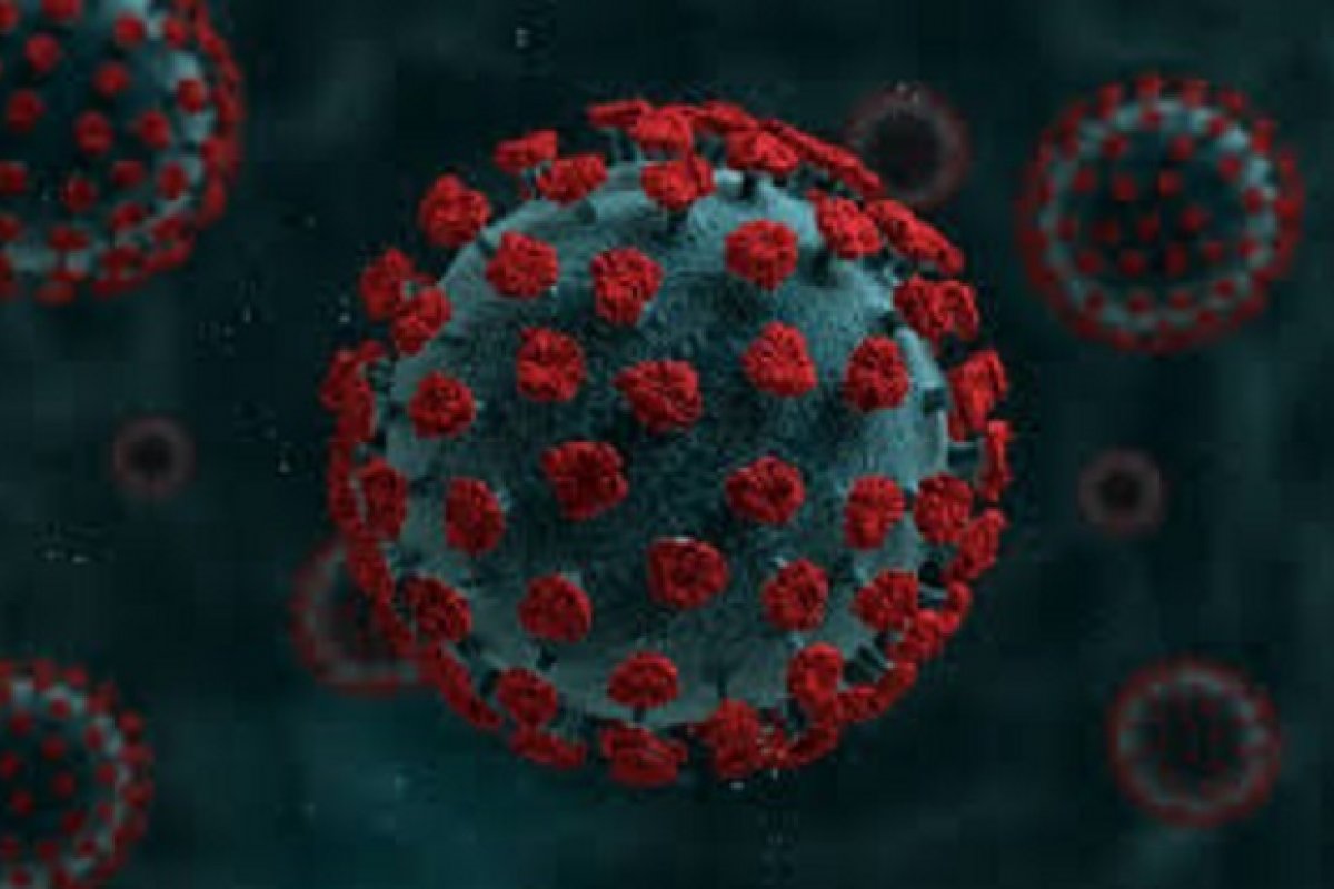 Covid-19: Bahia atinge marca de 24 mil mortes desde o início da pandemia