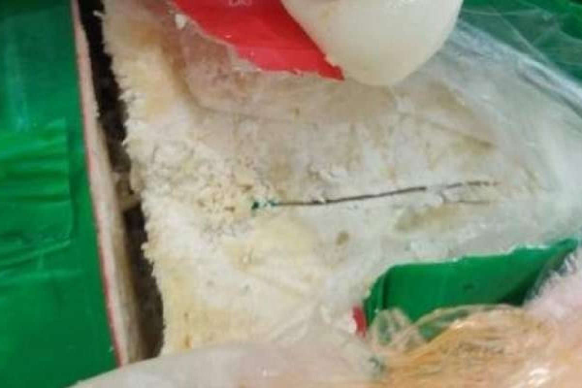 Polícias Federal e Militar apreendem 1,3 kg de cocaína entregue pelos Correios em Feira de Santana