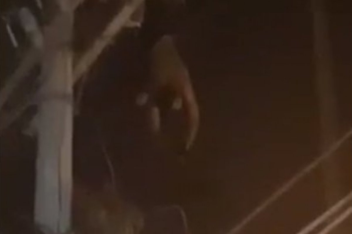 Vídeo: Bombeiros do RJ resgatam jovem de 15 anos que ficou preso pelos pés na rede elétrica