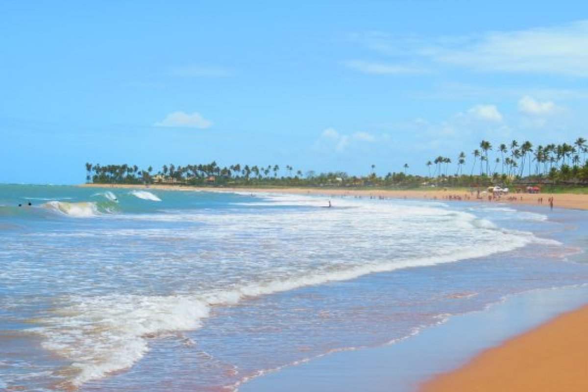 Manchas de óleo voltam a aparecer em praia de Itacimirim, litoral norte da Bahia