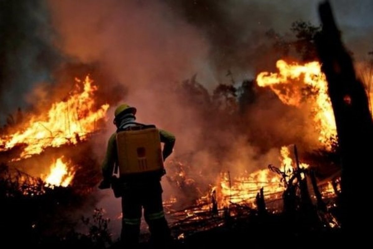 Amazônia teve 2.308 focos de calor em junho, diz Inpe