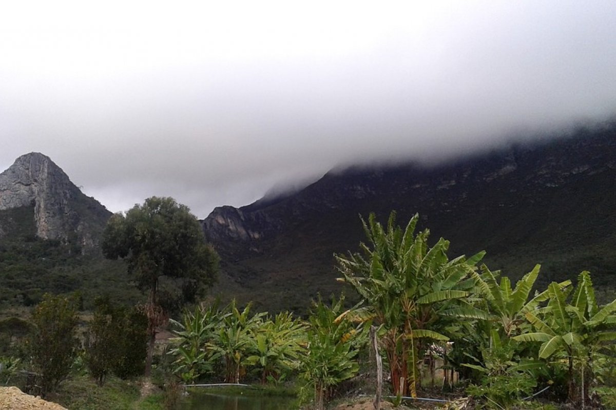 Cidades no interior do estado chegam a até 10° C no começo do inverno de 2021