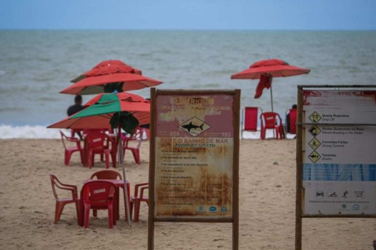 Pernambuco não noticia ataques de tubarões desde 2019