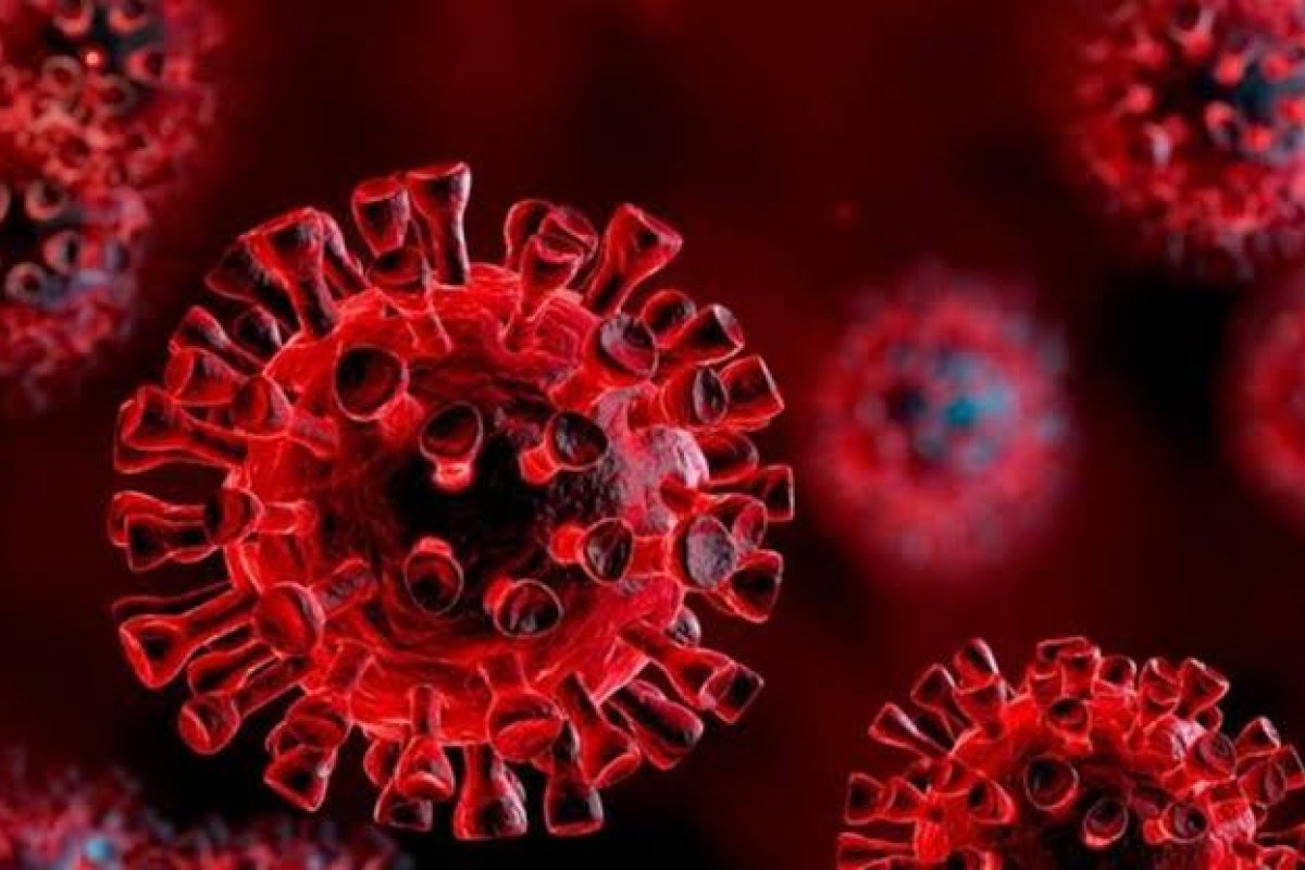 Covid-19: Bahia registra 24 novas mortes, sendo duas nas últimas 24h