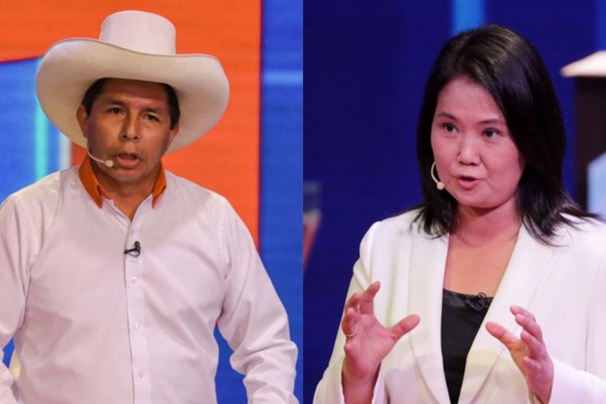 Galos são resgatados em espaço clandestino no sudoeste da Bahia