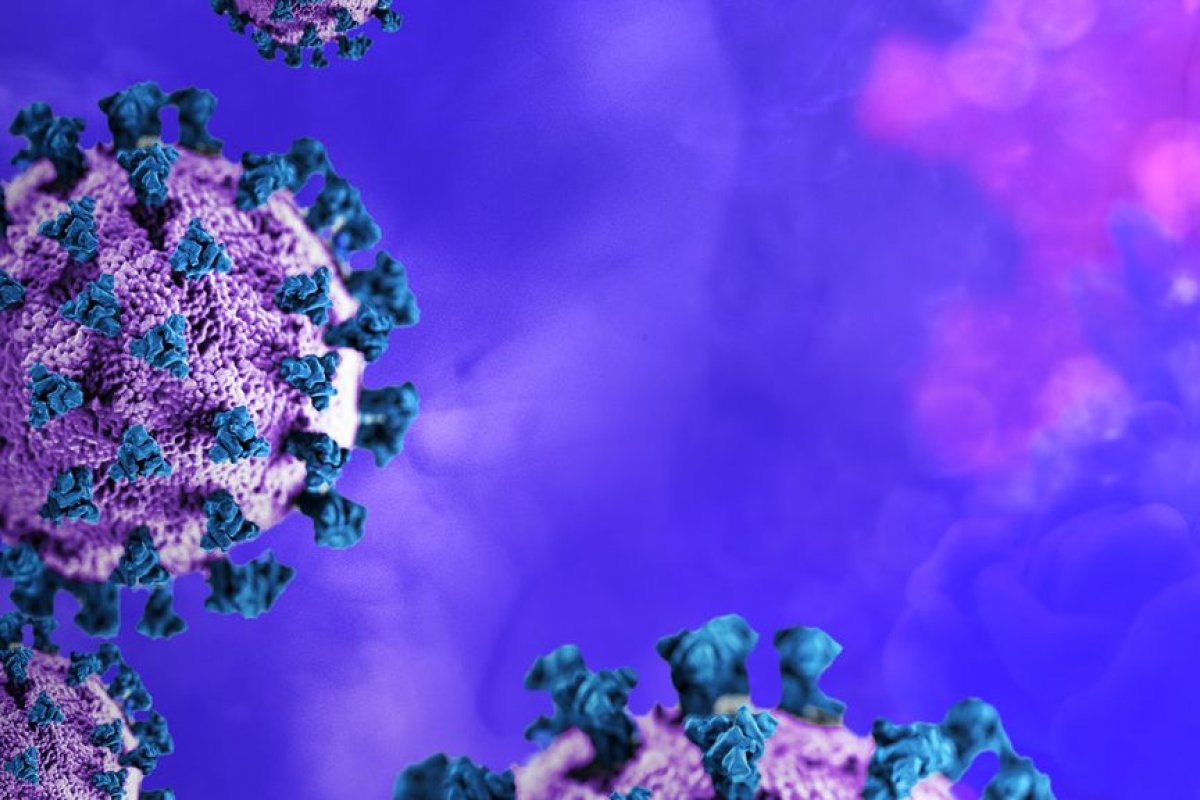 Conheça a variante Lambda que vem se espalhando pela América do Sul